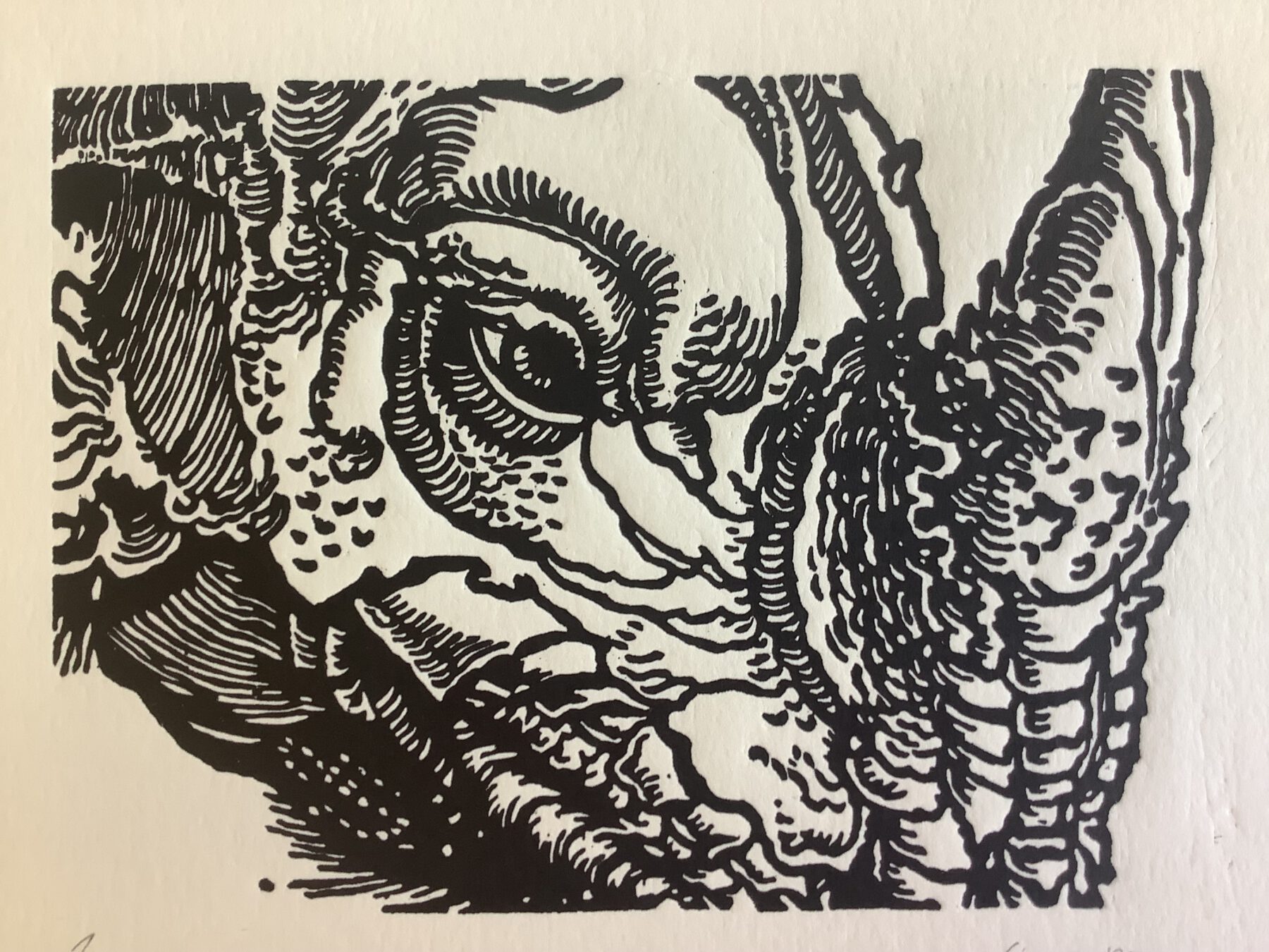 Marcus Berkmann 14 7  6 8 2023 Bild 1