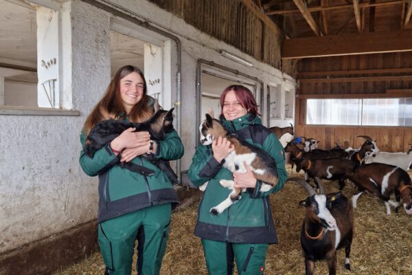 Isabel Breitfelder (l.) und Lina Frey, die beiden FöJ-lerinnen, mit zwei der neuen Kitze auf dem Arm beim Besuch der Tauerschecken Fotocredit: Stadt Burghausen/ebh