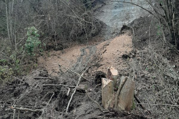 Der Hangrutsch am Treidelweg unterhalb des Klosters Raitenhaslach im Herbst 2022 hat auch neue Lebensräume für die Artenwelt geschaffen.