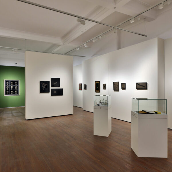 Das Haus der Fotografie zeigt am Internationalen Museumstag Steffen Diemer – Sanftmut in der Natur, eine stille Ruhe bei freiem Eintritt. © Haus der Fotografie/Gerhard Nixdorf