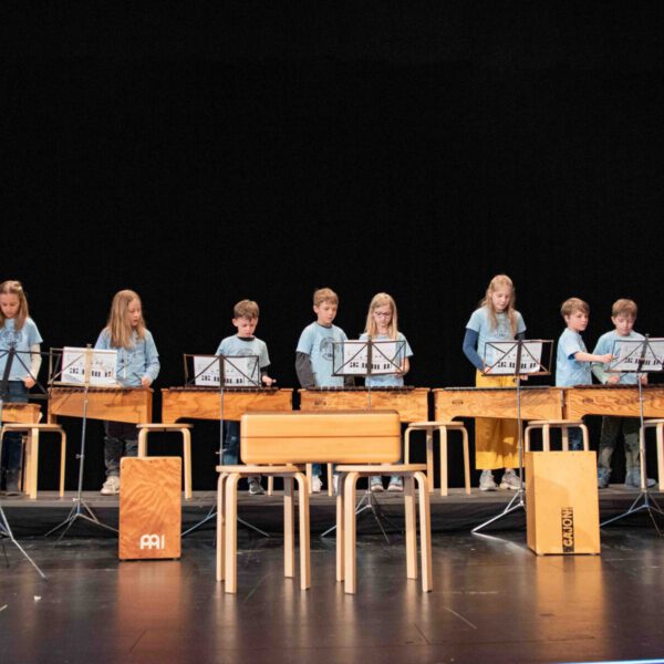 Die Schlagwerkklasse der 3. Klasse der Johannes-Hess-Schule während dem Konzert im Stadtsaal