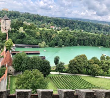 Weinberg am Burghang überhalb des Wöhrsees und unterhalb der längsten Burg der Welt Fotocredit: Königseder