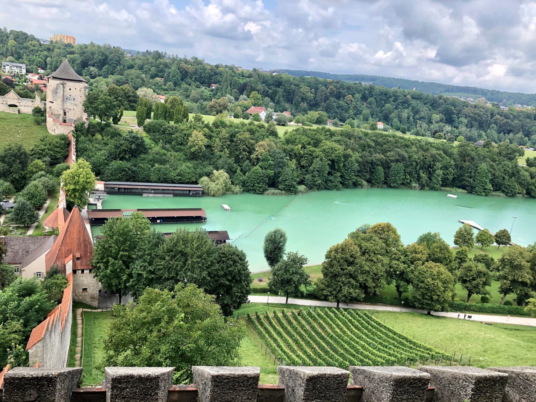 Weinberg am Burghang überhalb des Wöhrsees und unterhalb der längsten Burg der Welt Fotocredit: Königseder