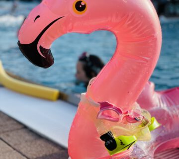 Die Bäder Burghausen sind sehr beliebt. Das Freibad sowie das Wöhrseebad haben einen Einzugsbereich von etwa 40 Kilometer. Bei hochsommerlichen Temperaturen am Sonntag, 18. Juni 2023, kamen allein ins Freibad 3.350 Badegäste. Fotocredit: Stadt Burghausen / Königseder