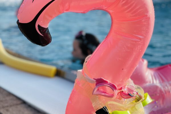 Die Bäder Burghausen sind sehr beliebt. Das Freibad sowie das Wöhrseebad haben einen Einzugsbereich von etwa 40 Kilometer. Bei hochsommerlichen Temperaturen am Sonntag, 18. Juni 2023, kamen allein ins Freibad 3.350 Badegäste. Fotocredit: Stadt Burghausen / Königseder