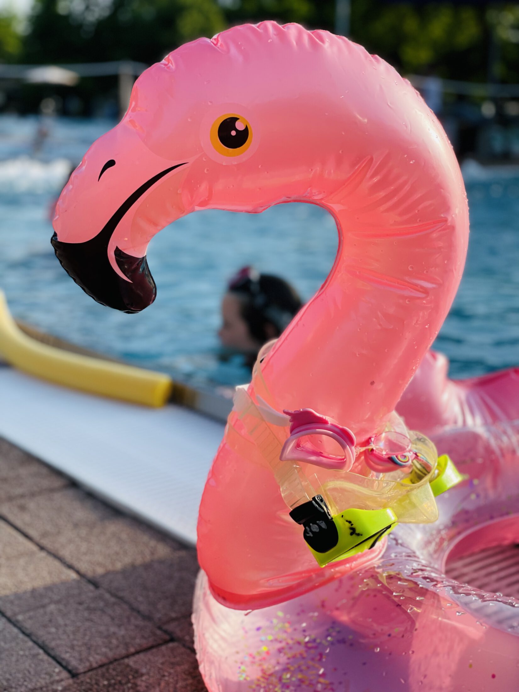 Die Bäder Burghausen sind sehr beliebt. Das Freibad sowie das Wöhrseebad haben einen Einzugsbereich von etwa 40 Kilometer. Bei hochsommerlichen Temperaturen am Sonntag, 18. Juni 2023, kamen allein ins Freibad 3.350 Badegäste. Fotocredit: Stadt Burghausen / Königseder