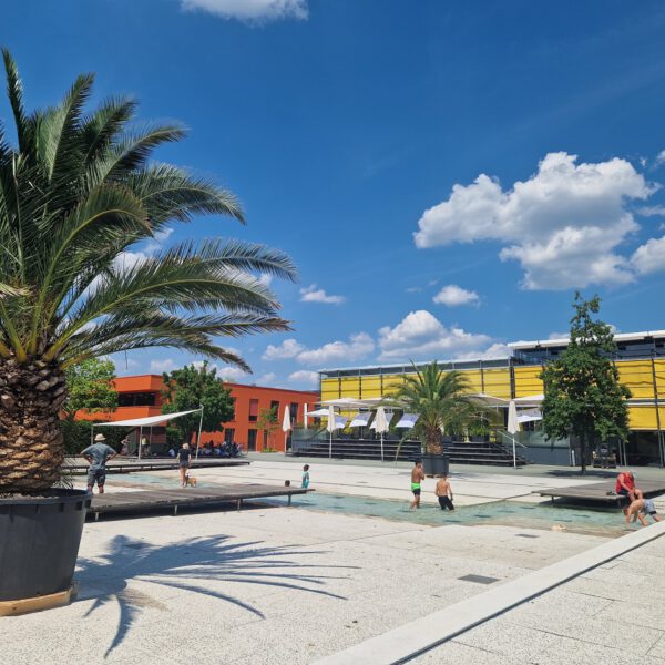 Palmen am Wasserplatz beim Bürgerhaus © Stadt Burghausen/ebh
