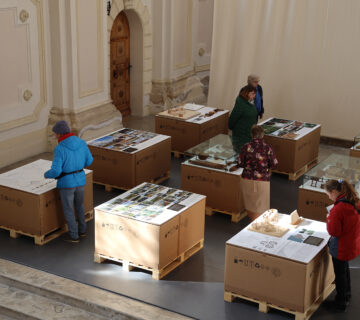 Künstlerführung mit Markus Heinsdorff durch die Ausstellung „MARKUS HEINSDORFF · REGEN – WALD 2 – LEBEN UNTER BÄUMEN“