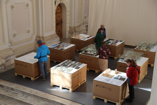Künstlerführung mit Markus Heinsdorff durch die Ausstellung „MARKUS HEINSDORFF · REGEN – WALD 2 – LEBEN UNTER BÄUMEN“
