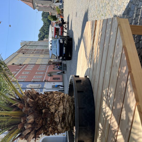 Stadtplatz unter Palmen © Stadt Burghausen/köx Stadtplatz unter Palmen © Stadt Burghausen/köx