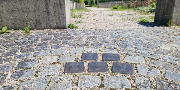 Stolpersteine im botanischen Garten erinnern an die Familie Galitzenstein © Stadt Burghausen/ebh