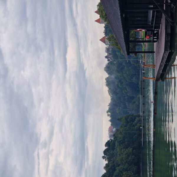 Nebel hängt in den Bäumen am Wöhrsee © Stadt Burghausen/ebh