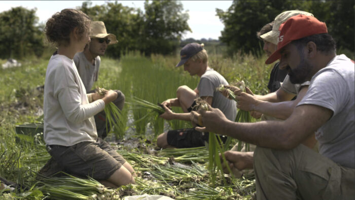 Das Kombinat e1691584277406