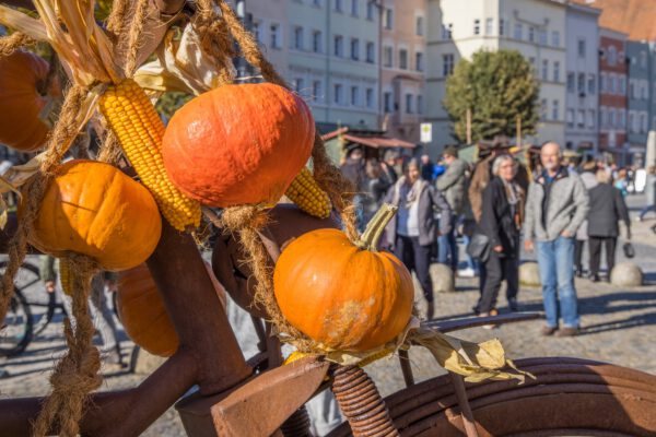 Schön geschmückter Stadtplatz beim Burghauser Gallimarkt Fotocredit: Burghauser Touristik GmbH Schön geschmückter Stadtplatz beim Burghauser Gallimarkt Fotocredit: Burghauser Touristik GmbH