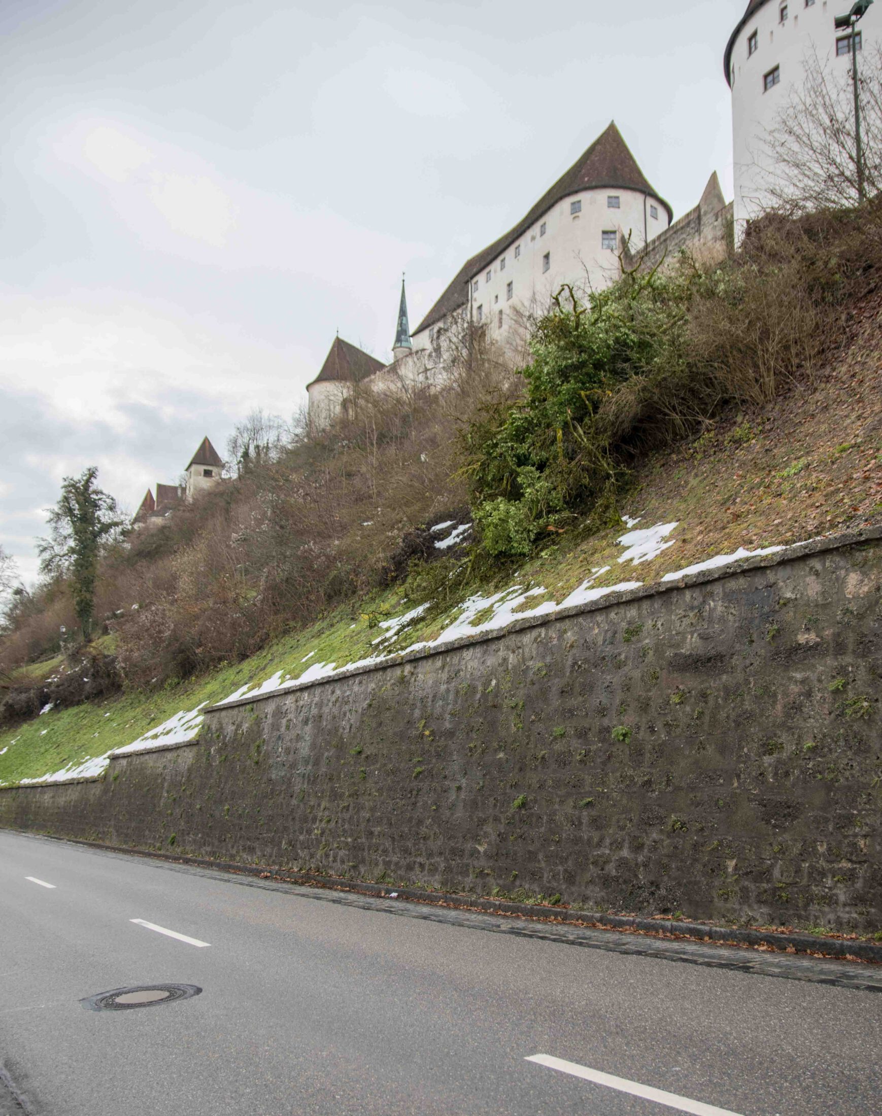 Ein entwurzelter Baum am Ludwigsberg muss entfernt werden © Stadt Burghausen/ebh