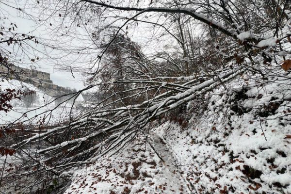 Der Weg an der Bergerhof-Seite des Wöhrsees ist durch die vielen umgeknickten Bäume unpassierbar. Es wird noch einige Wochen dauern, bis der Weg wiederhergestellt ist. © Thomas Eder