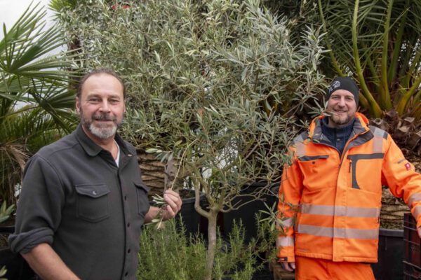 Peter Schweikl, Leiter des Bauhofs und der städtischen Gärtnerei, und Markus Kammerbauer, stellvertretender Leiter der städtischen Gärtnerei, in dem neuen Gewächshaus. © Stadt Burghausen/ebh