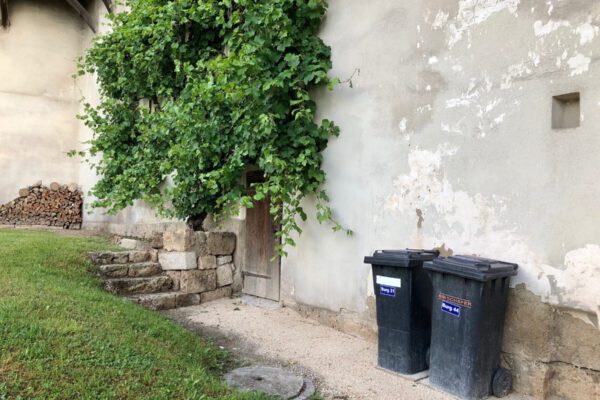 Foto Alexandra Königseder