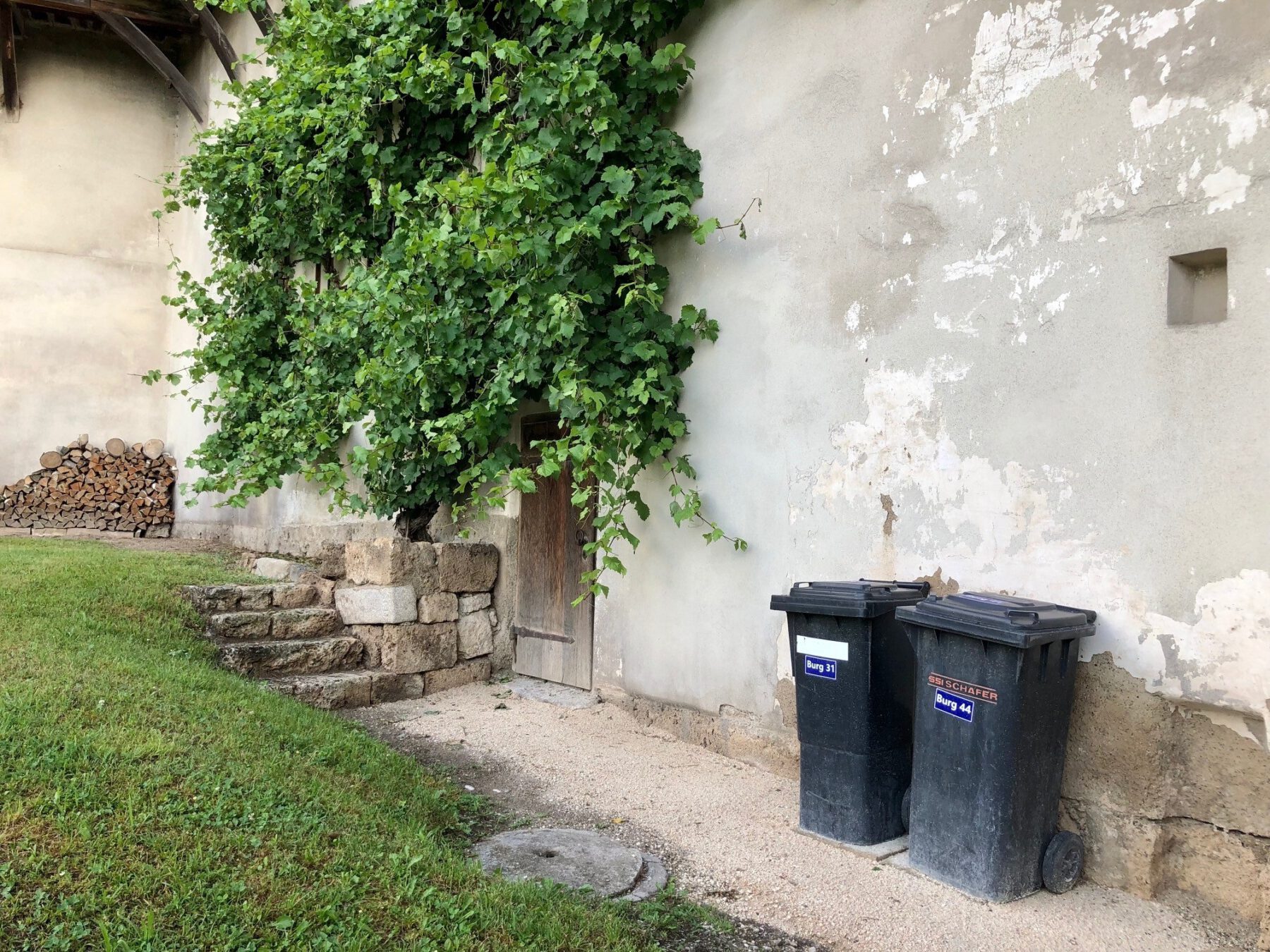 Foto Alexandra Königseder