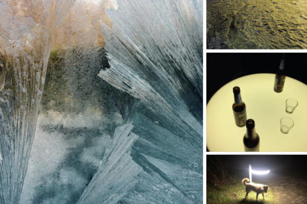 Ukraine Lesung Ukraine Lesung