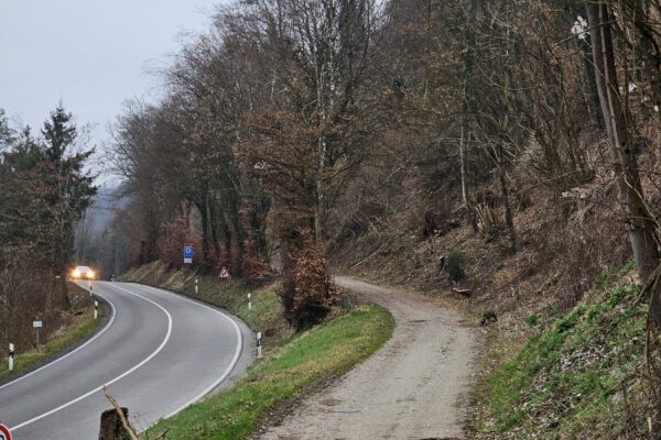 Der Alte Bahndamm und das Stacherl sind wieder frei. Sie waren seit Anfang Dezember wegen Baumbruch nach den massiven Schneefällen gesperrt. © Stadt Burghausen/ebh Der Alte Bahndamm und das Stacherl sind wieder frei. Sie waren seit Anfang Dezember wegen Baumbruch nach den massiven Schneefällen gesperrt. © Stadt Burghausen/ebh