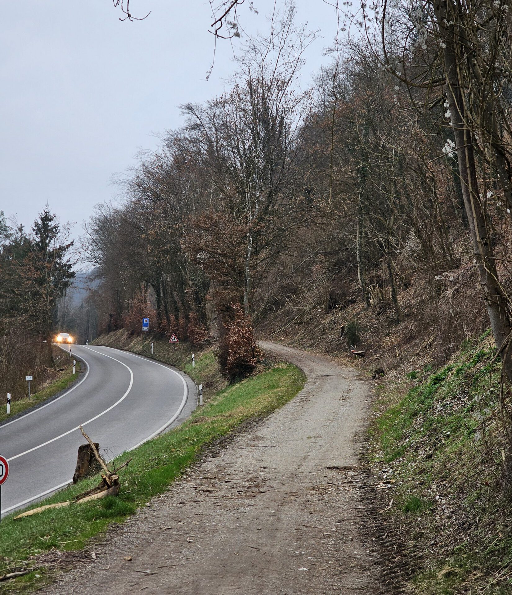 Der Alte Bahndamm und das Stacherl sind wieder frei. Sie waren seit Anfang Dezember wegen Baumbruch nach den massiven Schneefällen gesperrt. © Stadt Burghausen/ebh