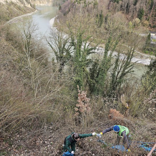 PM 81 Stadt BurgFÖJlerin Ariane Wacker seilte sich auch ab © Stadt Burghausen/ebh