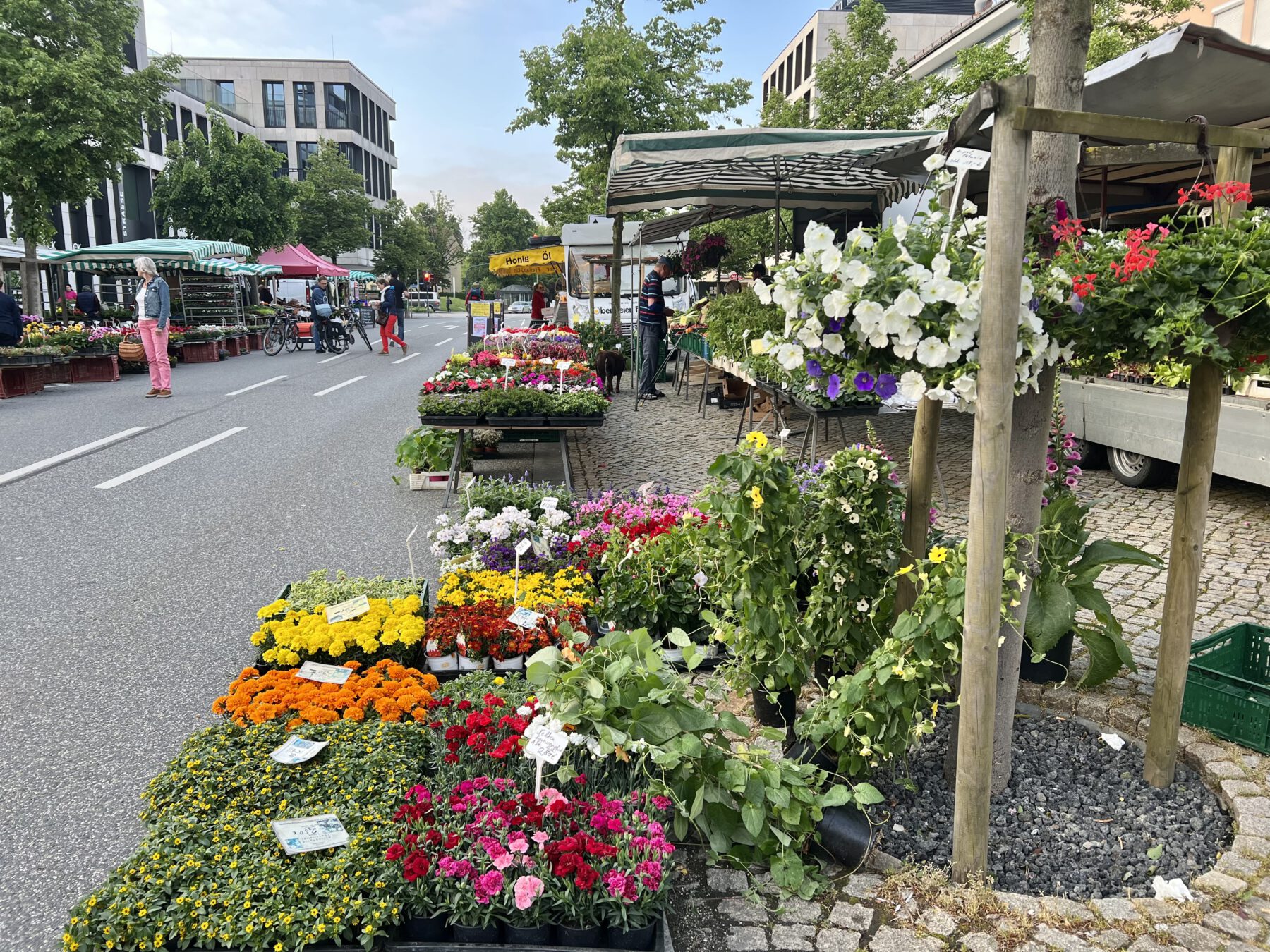Wochenmarkt Burghausen: Drei Wochenmärkte versorgen die Bürger mit frischen, regional erzeugten Lebensmitteln. Fotocredit: Stadt Burghausen