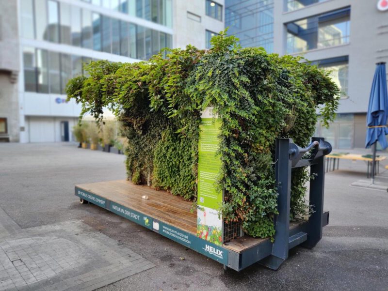 Helix (Grünes Zimmer)