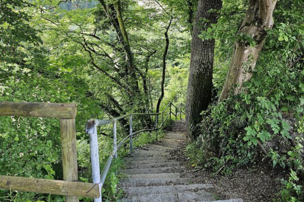 Der Kreuzpointnersteig ist wieder frei. Er war seit Anfang Dezember 2023 gesperrt © Stadt Burghausen/ebh Der Kreuzpointnersteig ist wieder frei. Er war seit Anfang Dezember 2023 gesperrt © Stadt Burghausen/ebh