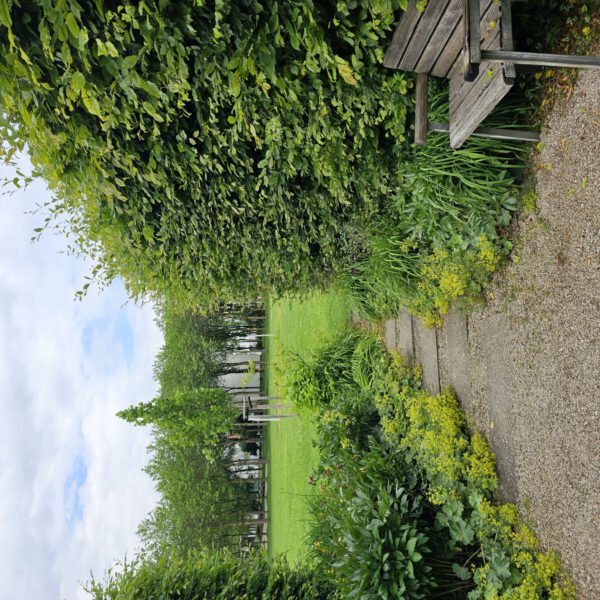 Themengärten im Stadtpark brauchen neue Paten © Stadt Burghausen/ebh Themengärten im Stadtpark brauchen neue Paten © Stadt Burghausen/ebh