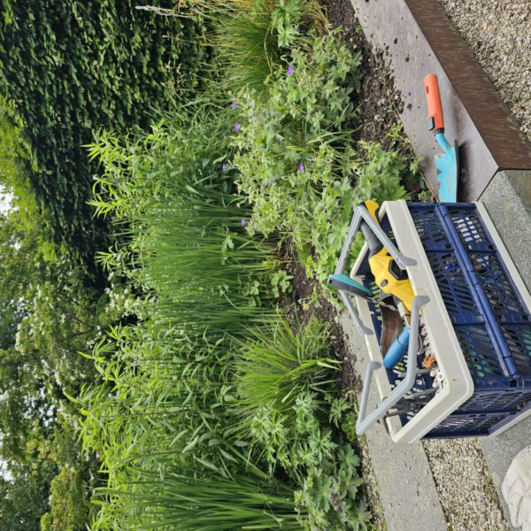 Themengärten im Stadtpark brauchen neue Paten © Stadt Burghausen/ebh Themengärten im Stadtpark brauchen neue Paten © Stadt Burghausen/ebh