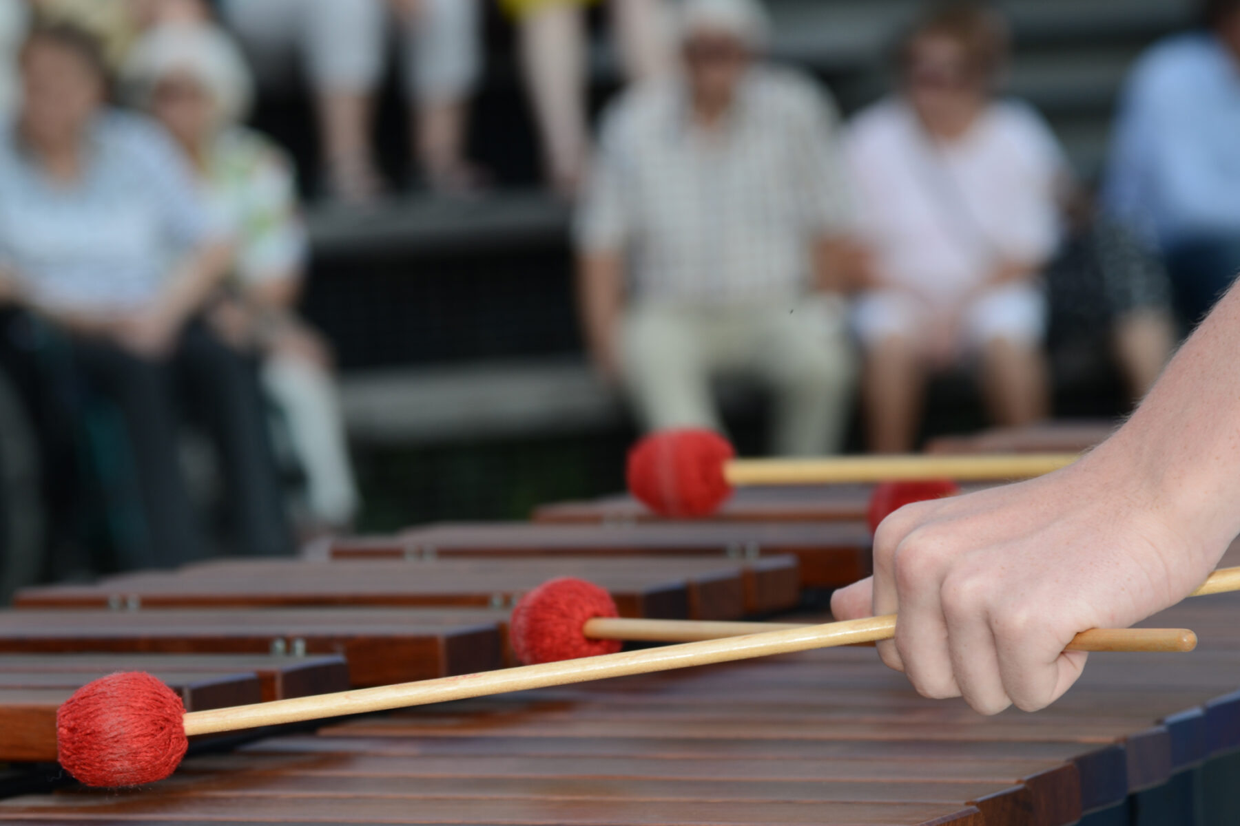 Die Musikschule lädt alle Musikbegeisterten am 2. Juli 2024 zu ihrem Sommerkonzert ein © Michaela Resch
