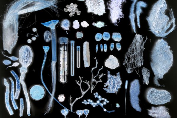 _Collage aus der Sammlung_ Heinsdorff 2