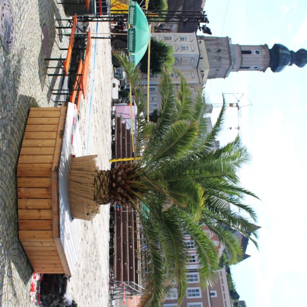 Am Beachvolleyballplatz   Foto: Katrin Schlösser