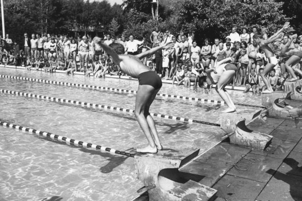 Das Becken im Freibad hat eine Fläche von 50x25 Meter.