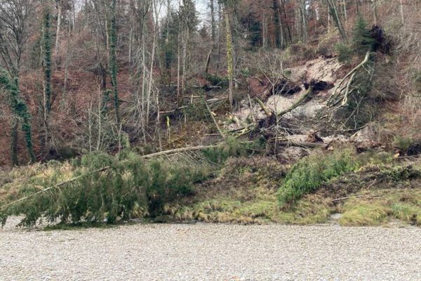 Handrutsch Treidelweg
