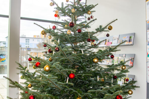 Der Wunschbaum im Bürgerhaus Christbaum Weihnachtsbaum für Wünsche Foto köx Christbaum geschmückt