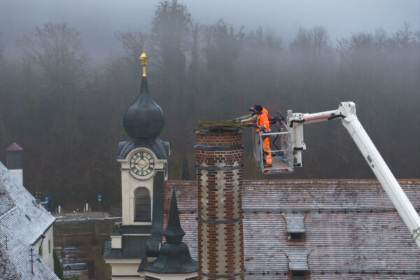 Storchenhilfe in Raitenhaslach: Neues Nest für Frühlingsboten Foto: Hans Mitterer