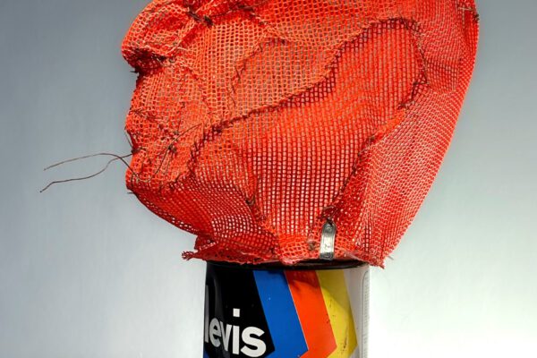 Professor, aus der Serie Spitzenhäupter, 2005/2022 © Hans Mitterer Professor, aus der Serie Spitzenhäupter, 2005/2022 © Hans Mitterer