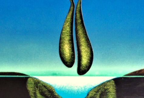 Prof Zdzislaw Stanek e1754906178429 474x324