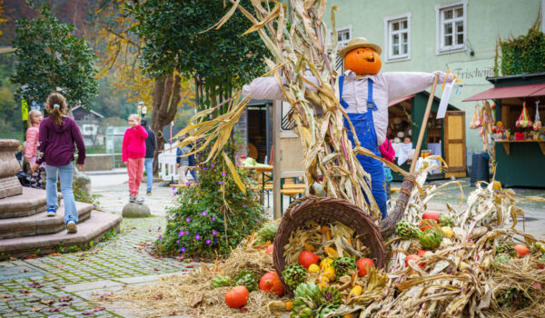 Musik, Crêpes und eine Kaffeerösterei gibt es am Bichl in den Grüben. Fotocredit: Burghauer Touristik