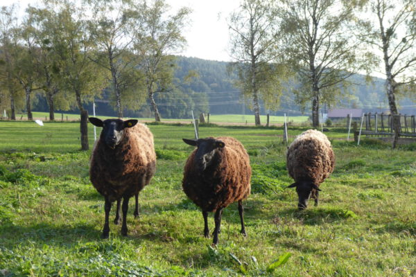 Bei der Öko-Kleinprojekte-Förderung winken bis zu 10.000 Euro Zuschuss. Foto: ©OEMR Inn-Salzach