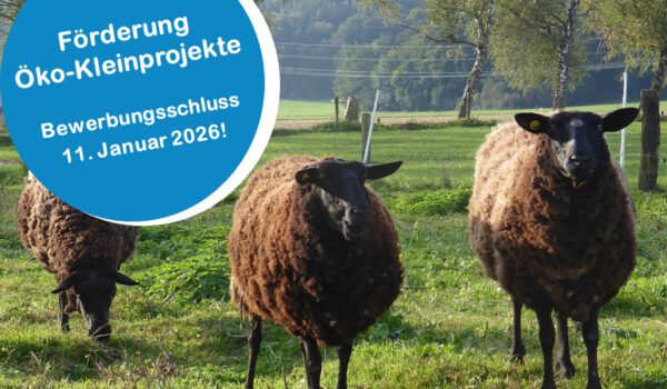 Bei der Öko-Kleinprojekte-Förderung winken bis zu 10.000 Euro Zuschuss. Foto: ©OEMR Inn-Salzach