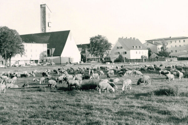 © Haus der Fotografie Burghausen