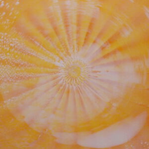 01 20251023 Orange Weiss 1 e1769070829658 300x300