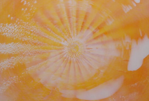 01 20251023 Orange Weiss 1 e1769070829658 474x324