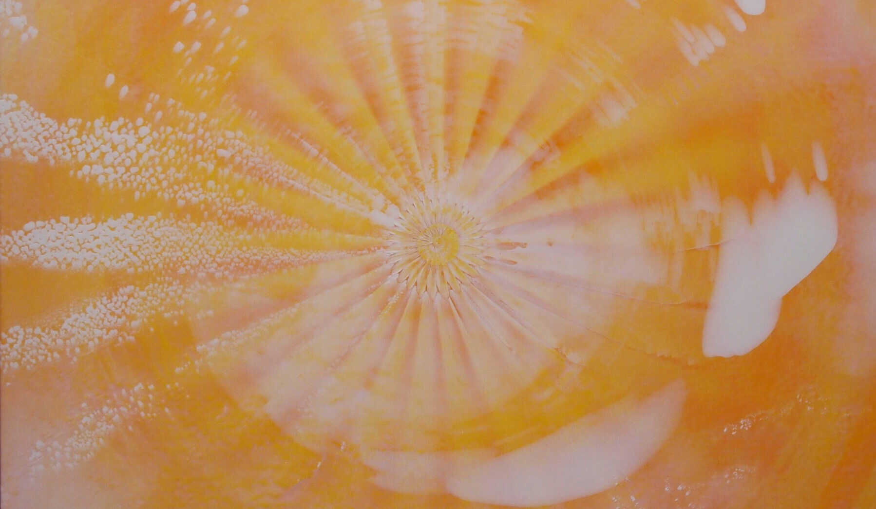 01 20251023 Orange Weiss 1 e1769070829658