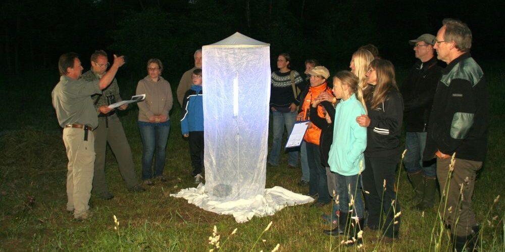 2026 04 14 Walter Sage e1769762591182