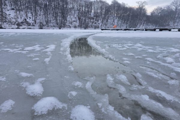 Der Burghauser Wöhrsee am 09.01.2026 - Betreten verboten
